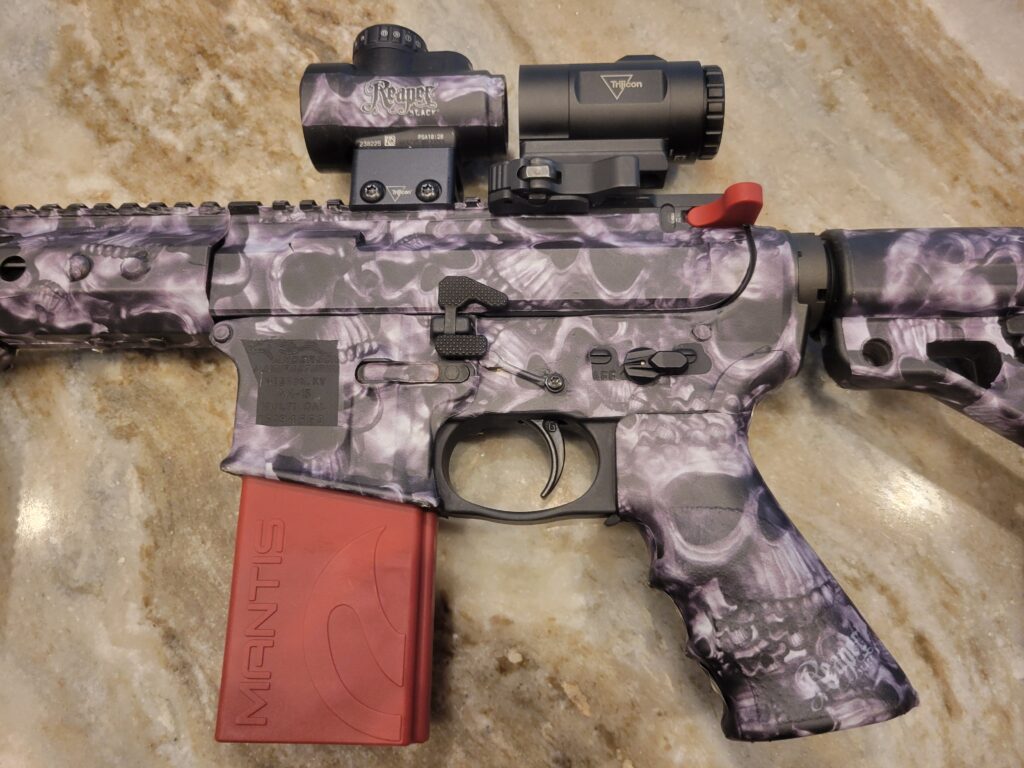 AR 15